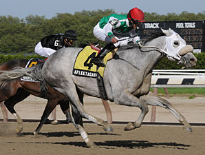 Afleet Again Upsets Withers; D' Funnybone 4th Afleet Again Upsets Withers; D' Funnybone 4th