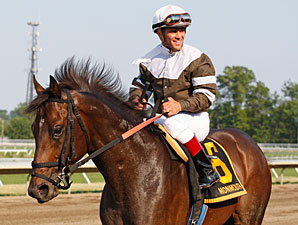 Travers Winner Afleet Express to Gainesway Travers Winner Afleet Express to Gainesway