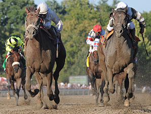 Afleet Express Nips Fly Down in Travers Afleet Express Nips Fly Down in Travers