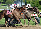 Plans Not Firm for Travers Winner's Next Race