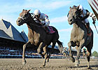 Countdown to the Cup: Afleet Heat Countdown to the Cup: Afleet Heat