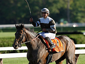 Injury Sidelines Afleet Express For the Year Injury Sidelines Afleet Express For the Year