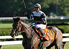 Injury Sidelines Afleet Express For the Year Injury Sidelines Afleet Express For the Year