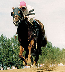Canadian HOY and Sire Afleet Dies in Japan Canadian HOY and Sire Afleet Dies in Japan