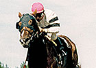Canadian HOY and Sire Afleet Dies in Japan Canadian HOY and Sire Afleet Dies in Japan