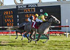 Arlington Classic Stakes Debut for Afortable Arlington Classic Stakes Debut for Afortable