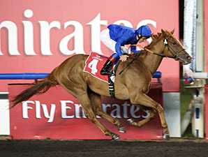 Godolphin Sends Out Tough Trio in Mile Godolphin Sends Out Tough Trio in Mile