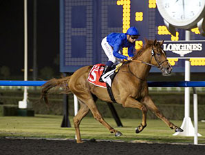Dullahan Unplaced in Burj Nahaar Dullahan Unplaced in Burj Nahaar