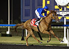 Dullahan Unplaced in Burj Nahaar Dullahan Unplaced in Burj Nahaar