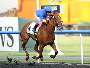 Godolphin's African Story Wins Godolphin Mile Godolphin's African Story Wins Godolphin Mile