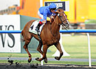 Godolphin's African Story Wins Godolphin Mile Godolphin's African Story Wins Godolphin Mile