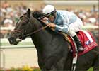 After Market to Stand at Lane's End in 2008 After Market to Stand at Lane's End in 2008