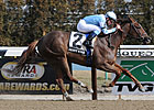 Agave Kiss Remains Undefeated with Cicada Win Agave Kiss Remains Undefeated with Cicada Win
