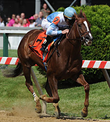 Miss Preakness: Unbeaten Agave Kiss Wins 6th Miss Preakness: Unbeaten Agave Kiss Wins 6th