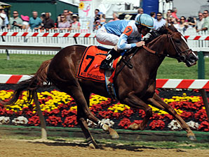 Record on Line for Agave Kiss in Victory Ride Record on Line for Agave Kiss in Victory Ride