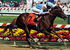 Agave Kiss Retired, Booked to Tapit Agave Kiss Retired, Booked to Tapit