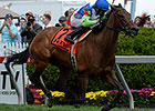 Ageless, Wallyanna Take Pimlico Turf Stakes Ageless, Wallyanna Take Pimlico Turf Stakes