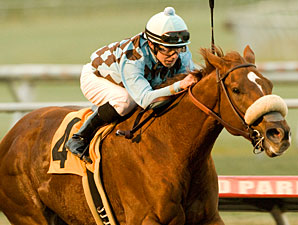 Grade II Winner Aggie Engineer Retired Grade II Winner Aggie Engineer Retired