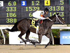 Ahead of Her Time Euthanized Ahead of Her Time Euthanized