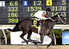 Ahead of Her Time Euthanized Ahead of Her Time Euthanized