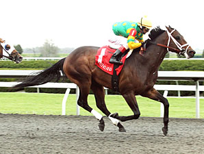 Graded Stakes Winner Aikenite Retired Graded Stakes Winner Aikenite Retired