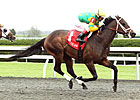 Graded Stakes Winner Aikenite Retired Graded Stakes Winner Aikenite Retired