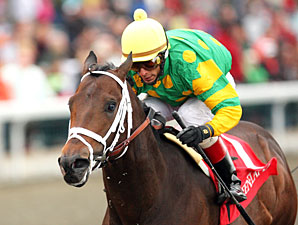 Aikenite to Stand at Calumet Farm