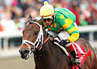 Aikenite to Stand at Calumet Farm Aikenite to Stand at Calumet Farm