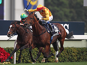 Akeed Mofeed Takes HK Cup; Little Mike 9th Akeed Mofeed Takes HK Cup; Little Mike 9th