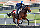 Hong Kong May Have Arlington Million Runner Hong Kong May Have Arlington Million Runner