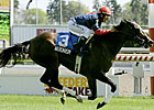 Akronism Overpowers Field in Royal North Akronism Overpowers Field in Royal North
