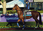 Aktabantay Knocked Out of BC Juvenile Turf Aktabantay Knocked Out of BC Juvenile Turf