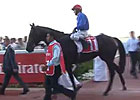 Dubai Carnival: Al Bastakiya - Secret Number Dubai Carnival: Al Bastakiya - Secret Number