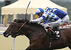 Al Kazeem Fit for a Queen Al Kazeem Fit for a Queen