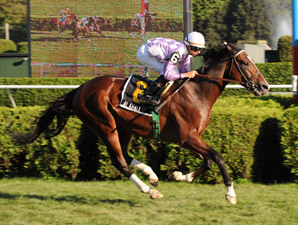 Al Khali Makes the Grade in Saranac Al Khali Makes the Grade in Saranac