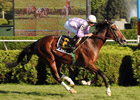 Al Khali Makes the Grade in Saranac