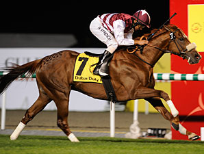 Al Shemali Pulls Duty Free Shocker Al Shemali Pulls Duty Free Shocker