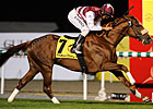 Al Shemali Pulls Duty Free Shocker