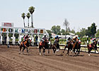 Sky Mesa Colt Tops Northern California Sale Sky Mesa Colt Tops Northern California Sale