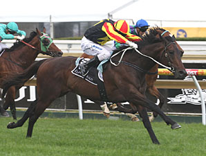 Alamosa Takes Group I Toorak Handicap