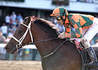 Competitive Group Entered for Smarty Jones Competitive Group Entered for Smarty Jones