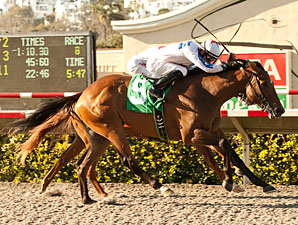 Alberts Hope Gets Well-Timed Best Pal Victory Alberts Hope Gets Well-Timed Best Pal Victory