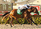 Alberts Hope Gets Well-Timed Best Pal Victory Alberts Hope Gets Well-Timed Best Pal Victory