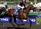 Albertus Maximus Aiming For Dubai