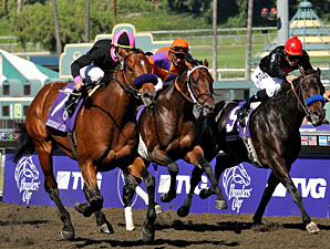 Albertus Maximus Wins Dirt Mile Albertus Maximus Wins Dirt Mile