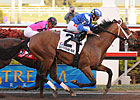 Albertus Maximus Wins Donn; Dubai Next Albertus Maximus Wins Donn; Dubai Next
