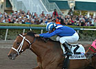 Albertus Maximus Could Return Next Year