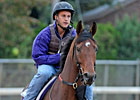 Breeders' Cup Chat: Friday Picks Breeders' Cup Chat: Friday Picks