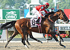 Alcomo Takes Brooklyn Handicap by a Whisker Alcomo Takes Brooklyn Handicap by a Whisker