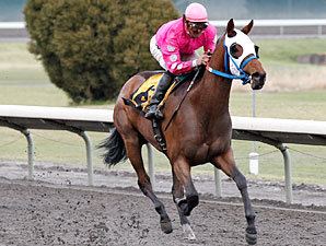 Alec's Moon Smart Winner of Portland Oaks Alec's Moon Smart Winner of Portland Oaks